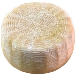 Pecorino